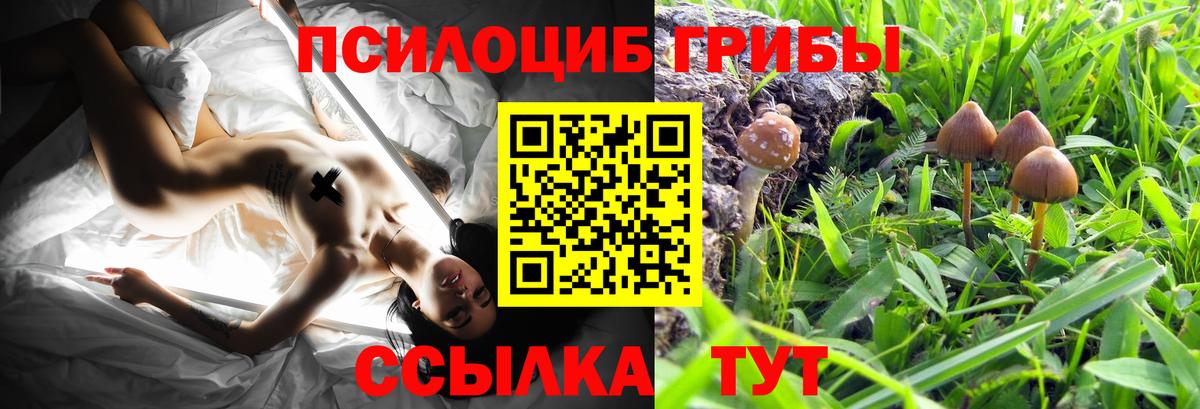 Галлюциногенные грибы MAGIC MUSHROOMS Абинск